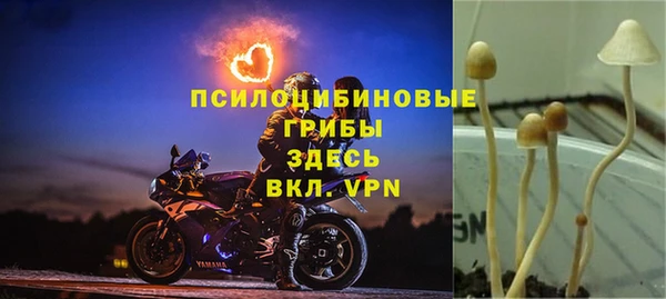 эйфоретик Беломорск
