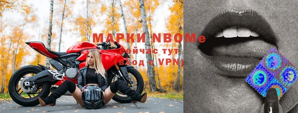 эйфоретик Беломорск