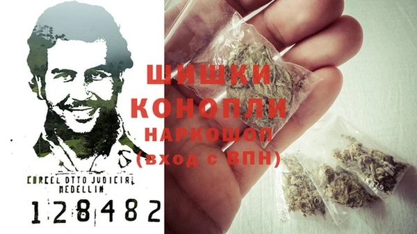 кокс Белокуриха