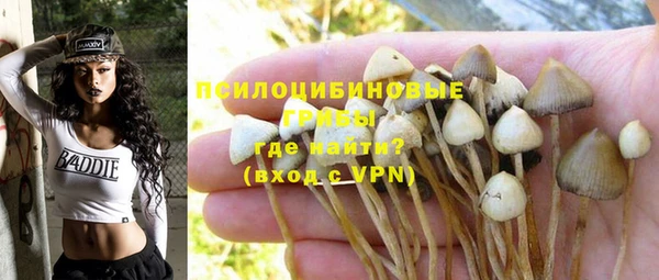 кокс Белокуриха